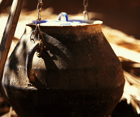 أطباق مُحضّرة بلحم الجمل