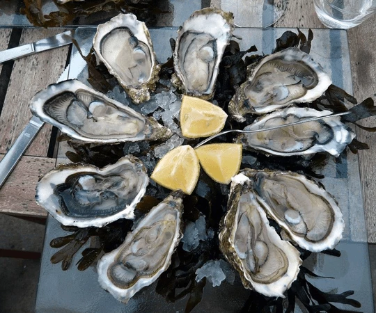 محار الوليدية