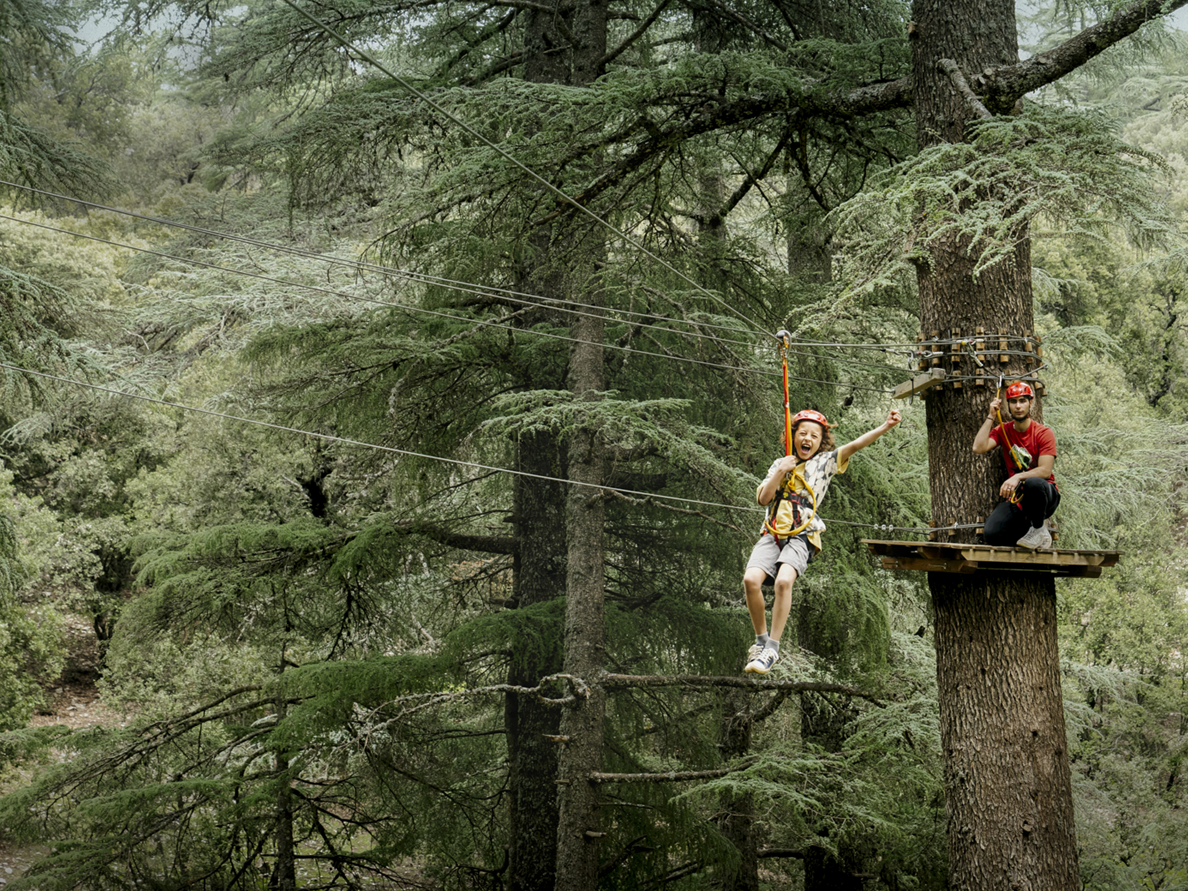 طبيعة بلادنا