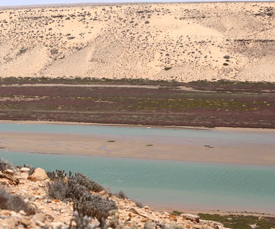 مصب وادي درعة