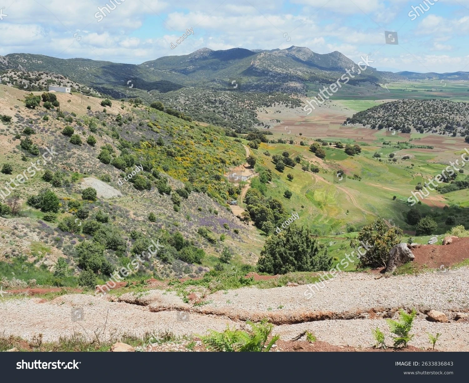 Parc national de Tazekka