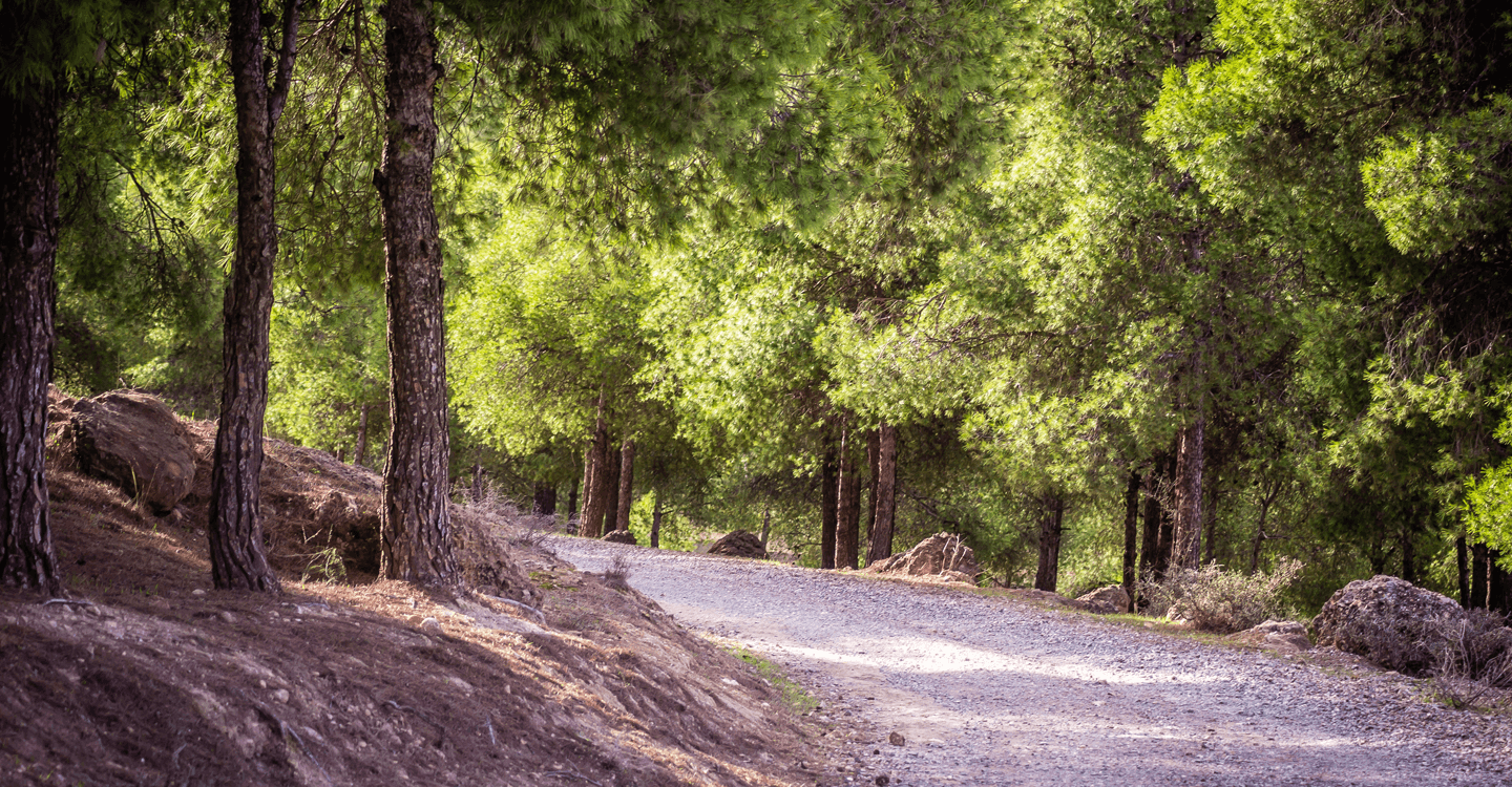 الرياضة والاسترخاء في الهواء الطلق في وجدة