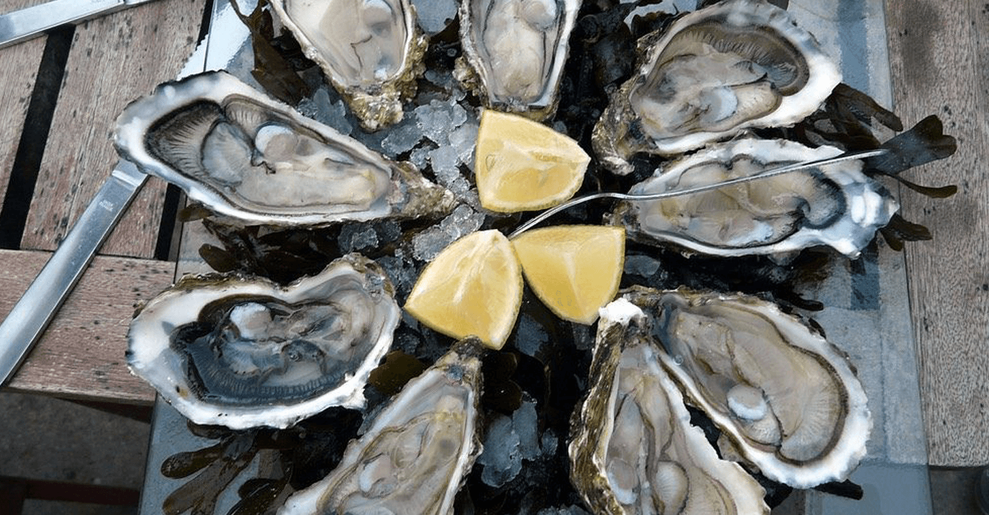 استمتع بالمحار الطازج في الداخلة