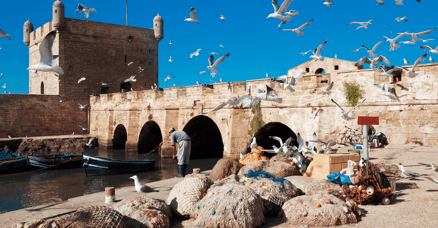 سياقة الدرجات الرباعية بين الرمال والغابات في الصويرة