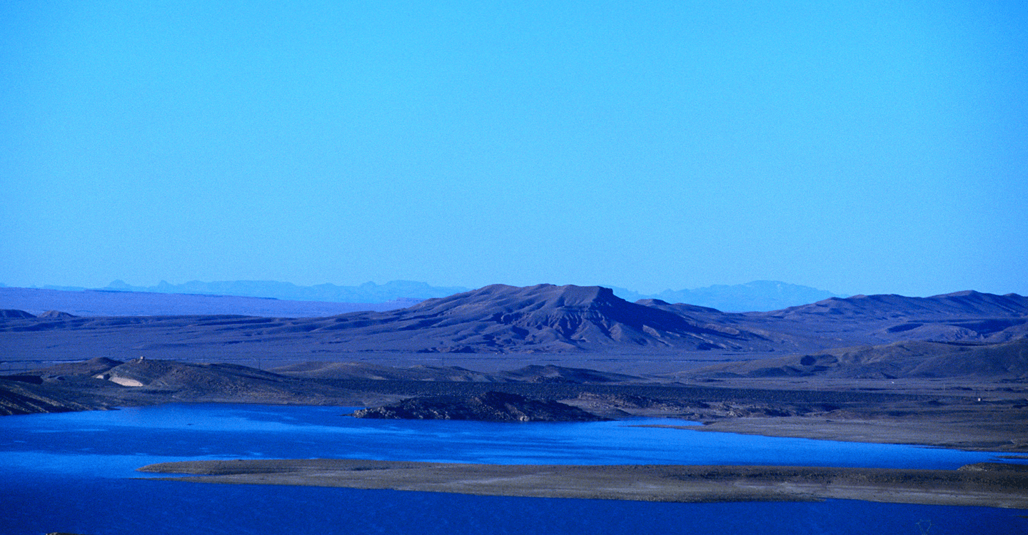 صيد الأسماك أو الحيوانات بالراشدية