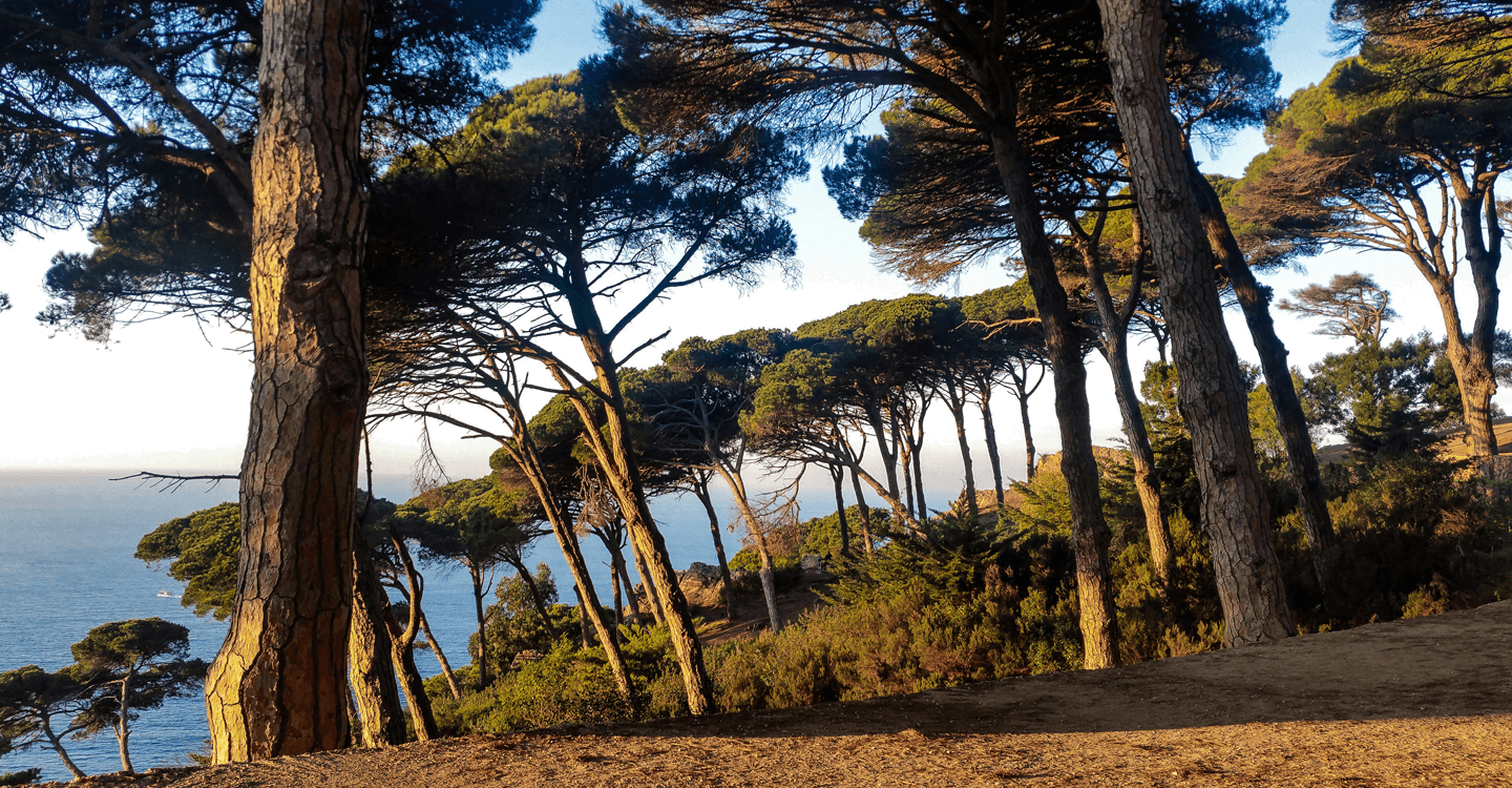 Le parc Perdicaris à Tanger