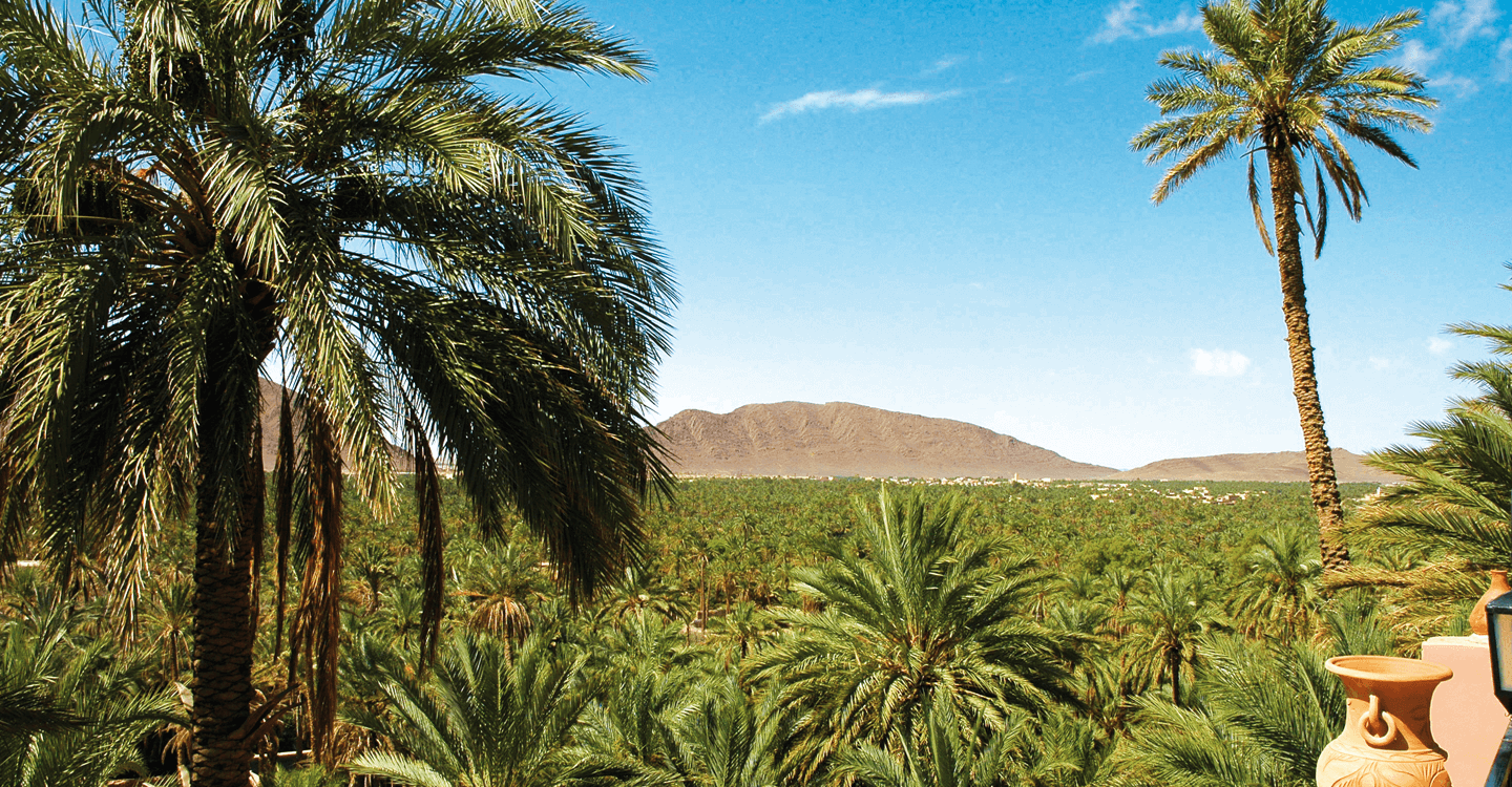 Partir en randonnée à Figuig