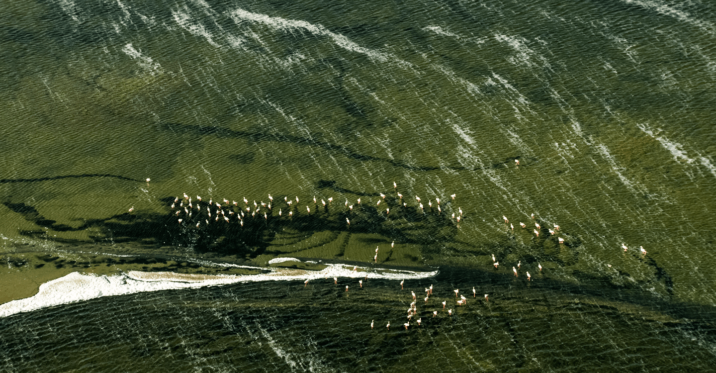 Pêcher en barque à Tan-Tan