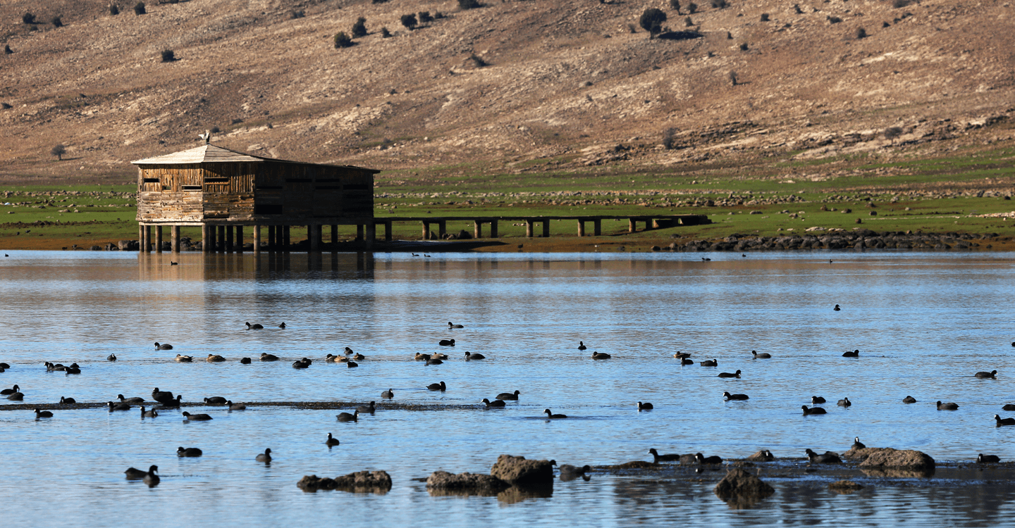 Pêcher la truite à Ifrane