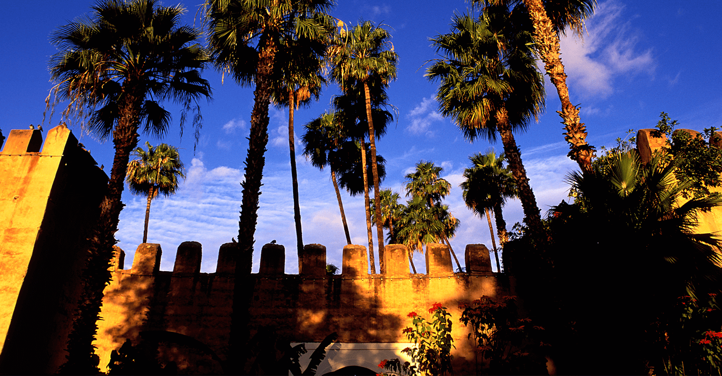 Pénétrer dans l’univers d’un artiste à Taroudant