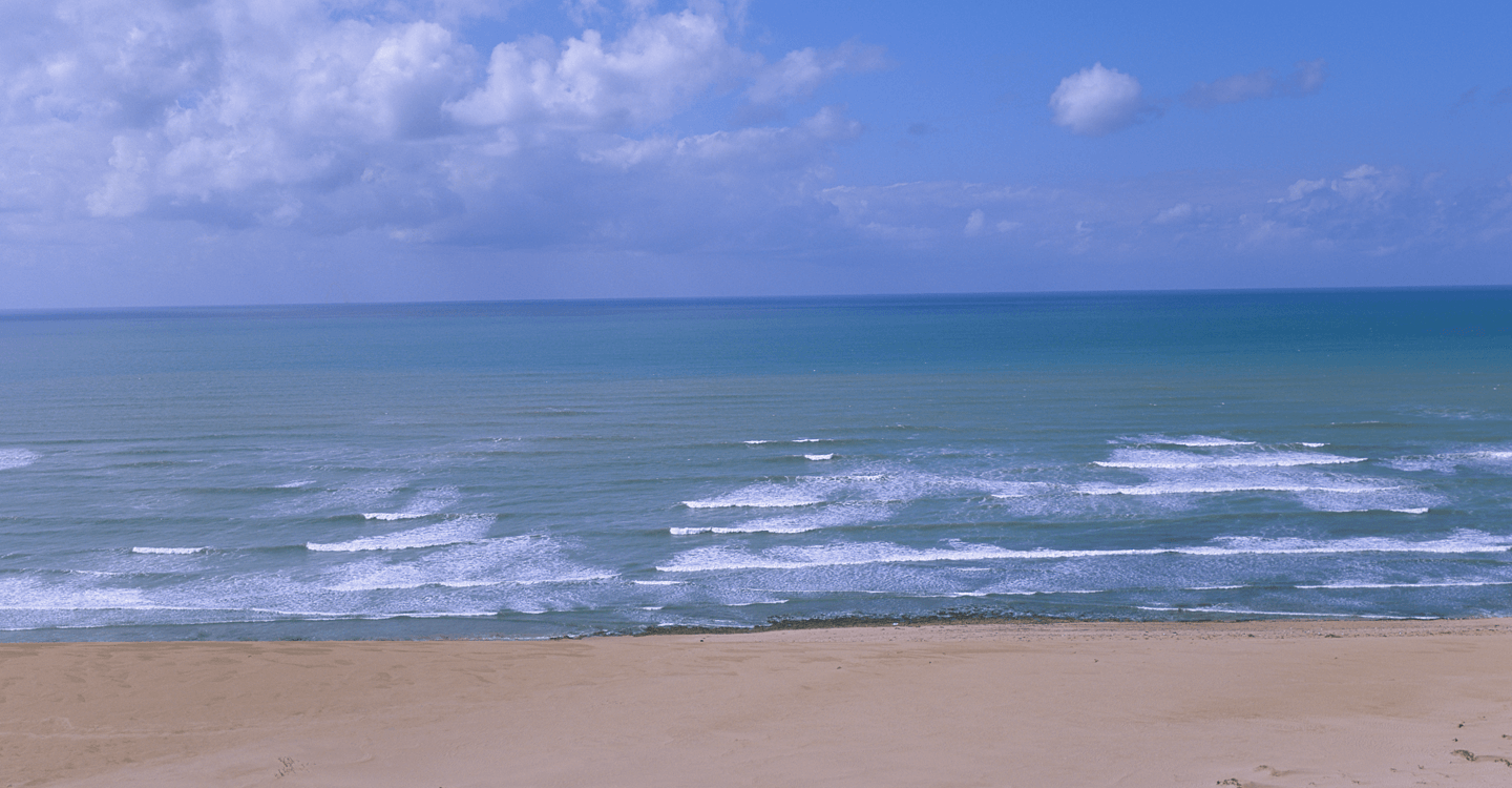 Prendre la vague à Tan-Tan
