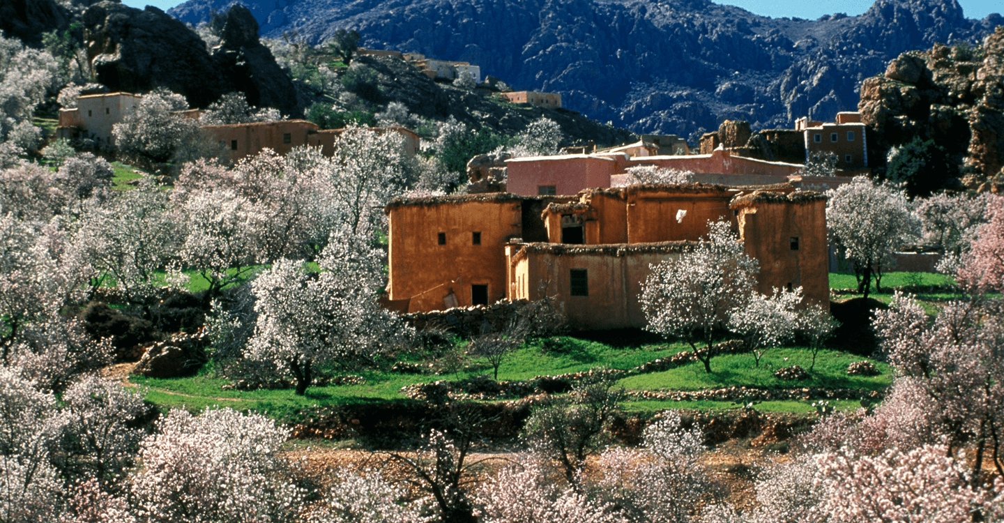 Se divertir autour des amandiers à Tafraout