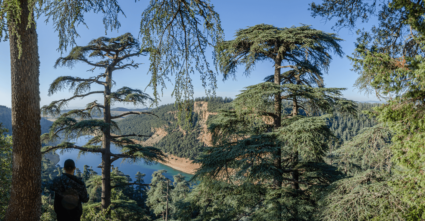 Visiter le parc national de Khénifra