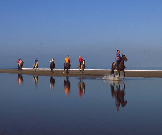 Faire du cheval sur une vaste plage de sable fin...