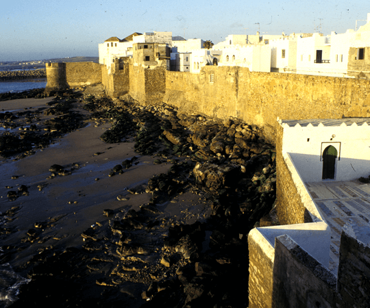  برج القريقية