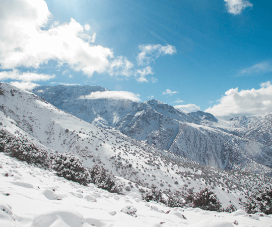 المنتزه الوطني لإفران