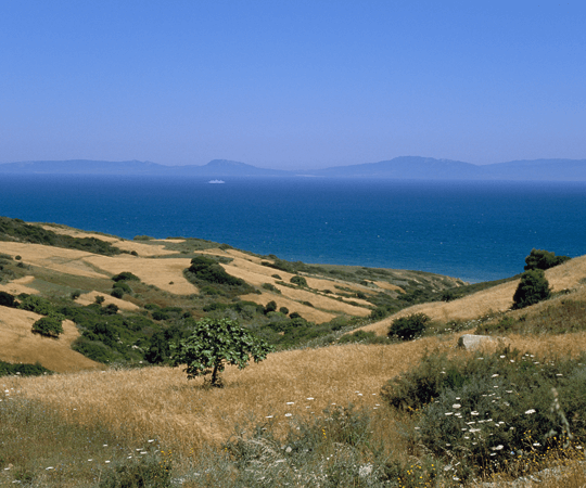 قرية تاوسارت