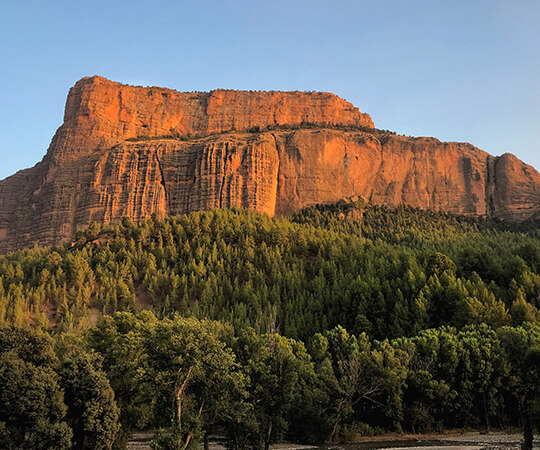 كاتدرائية إمسفران