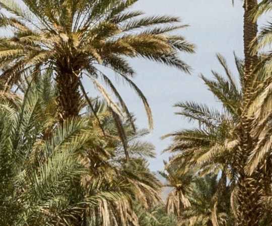 الأطلس الصغير