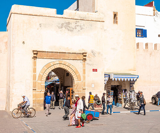 الاستمتاع بما تراه عيناك