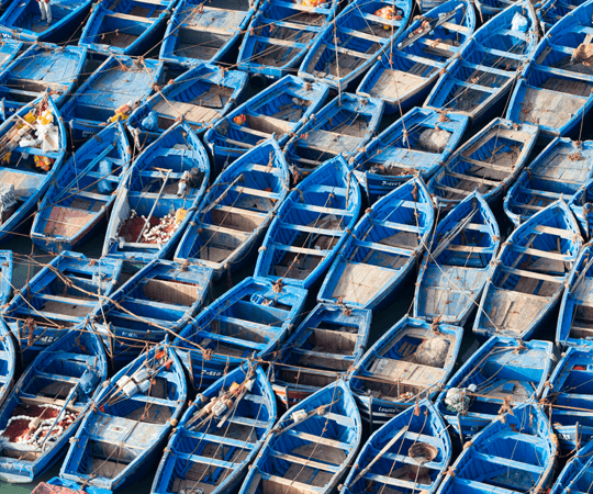 مشهد تعاقب الصيادين