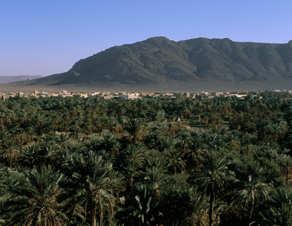 تقاليد وتراث عريق