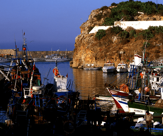 Immersion dans la ville