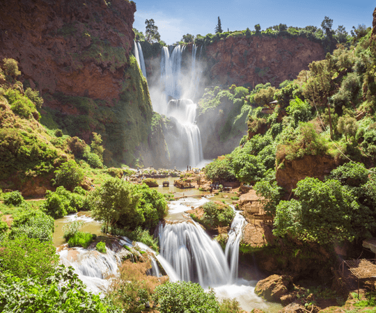 الاستمتاع بثراء الطبيعة