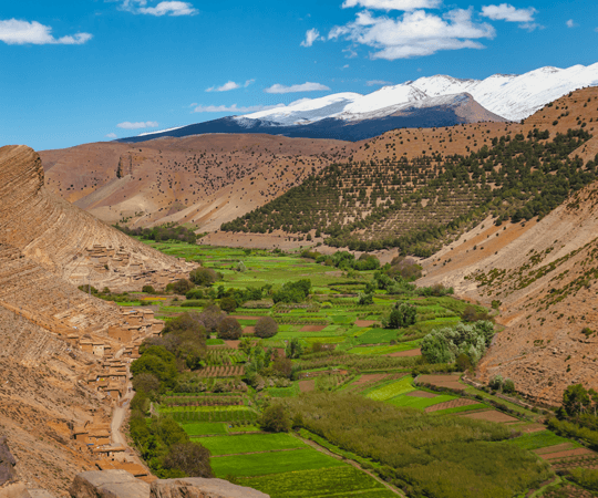عيش أفضل اللحظات في قلب الطبيعة