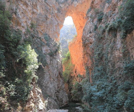 اكتشاف الطبيعة الريفية