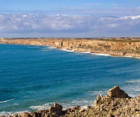 استمتع بشواطئ المنطقة