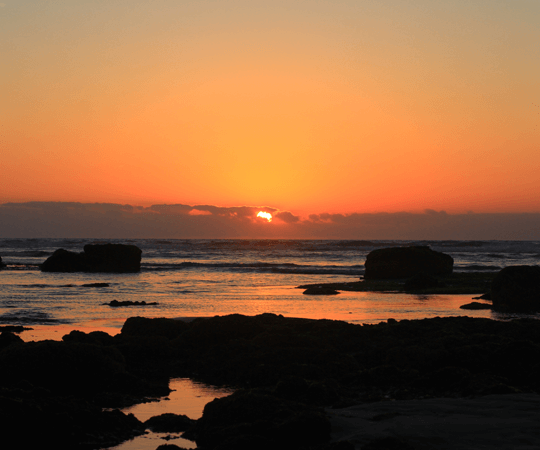 زيارة قلب المدينة