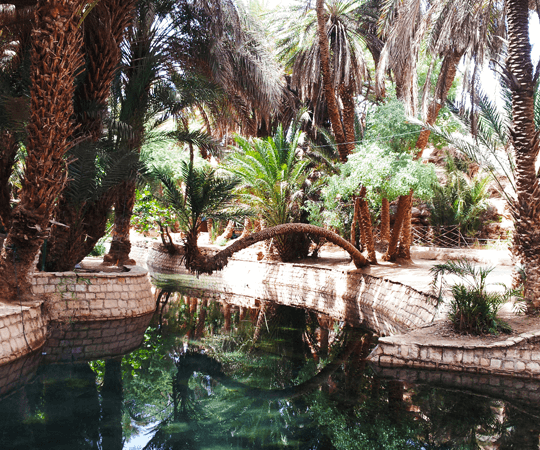 اكتشف أهم الأماكن في المنطقة