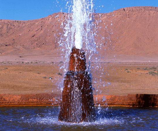 انغماس في نمط الحياة المحلية / نمط العيش المحلي