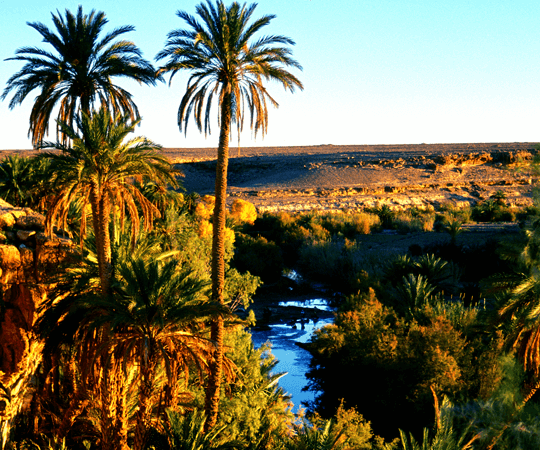 اكتشاف القصور والقصبات