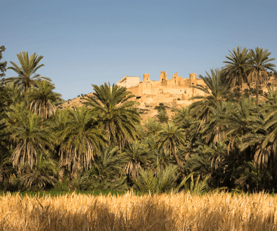 مراقبة الصخور الحجرية