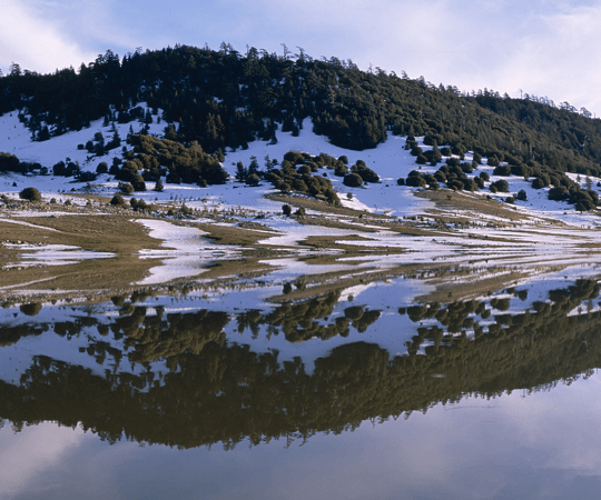 التنزه في قلب الطبيعة المحمية