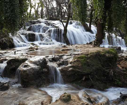الاستمتاع بفترة ما بعد الظهيرة في البادية