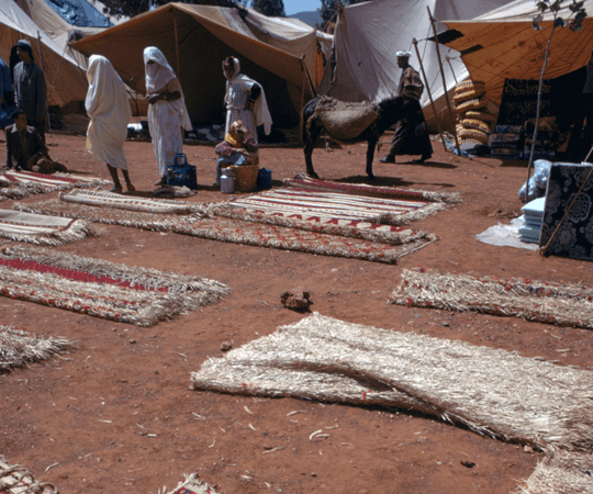 المدينة القديمة قريبا من الطبيعة