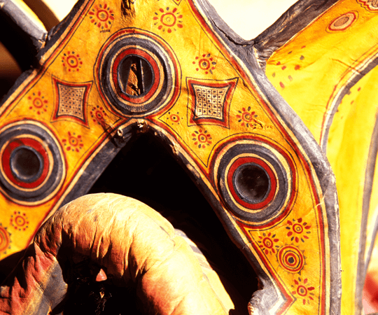 اكتشاف مدينة العيون