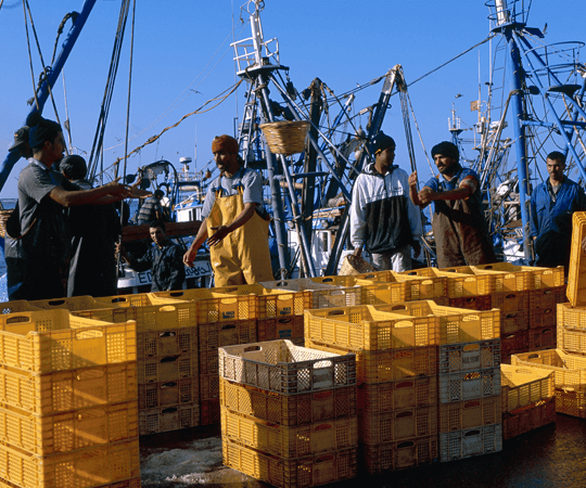 اكتشاف ساحل المنطقة وشواطئها