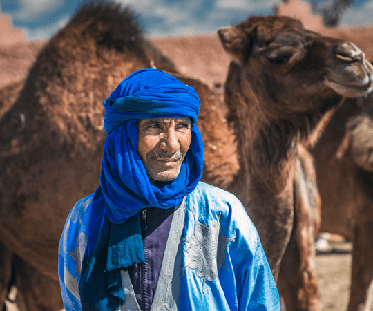 التجول في الأسواق