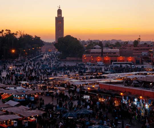 الاستمتاع بالأذواق والنكهات