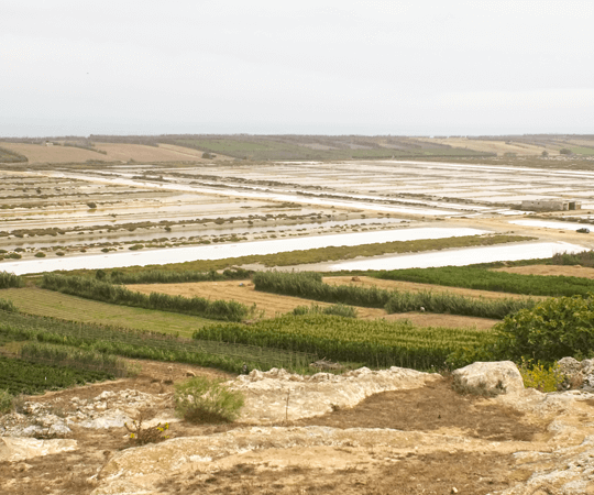 من رائع إلى أروع