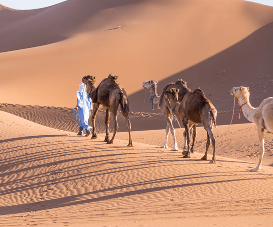 Vivre l’expérience du désert