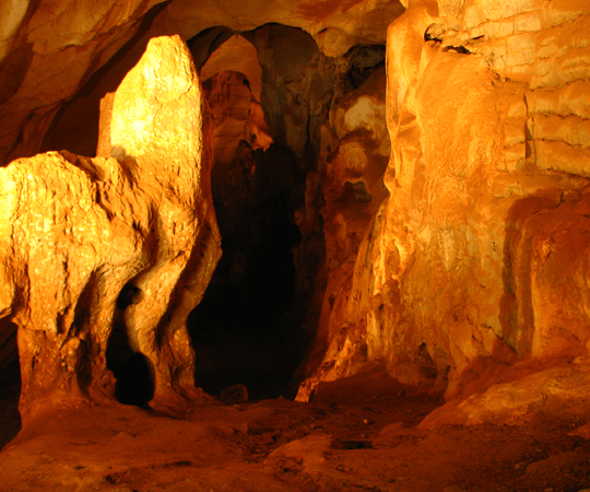 الاستمتاع بالطبيعة