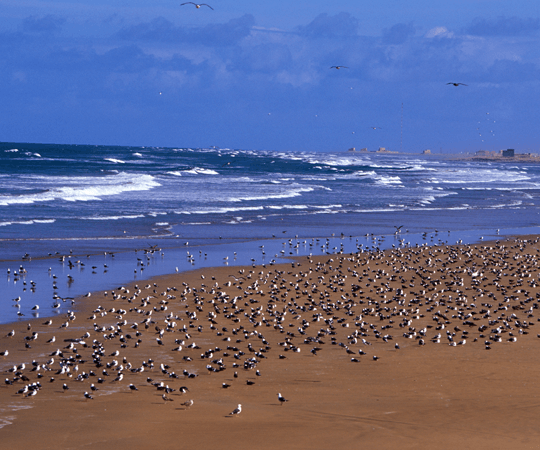 اكتشاف المنطقة