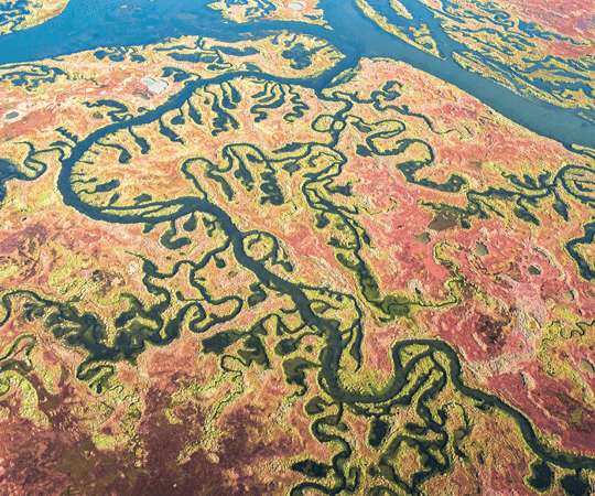 الاستمتاع على إيقاعات الطبيعة