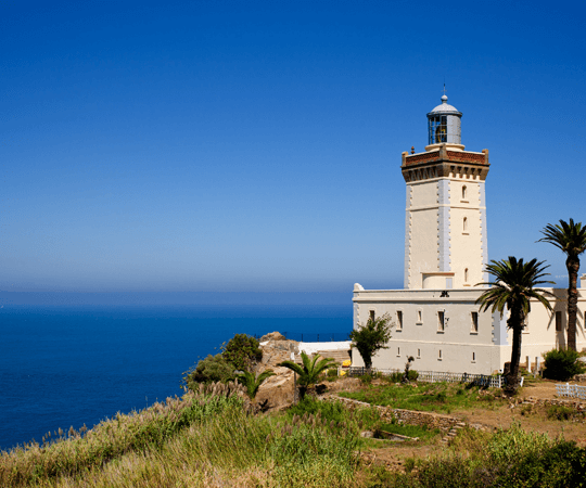 الاستمتاع بالسباحة في البحر