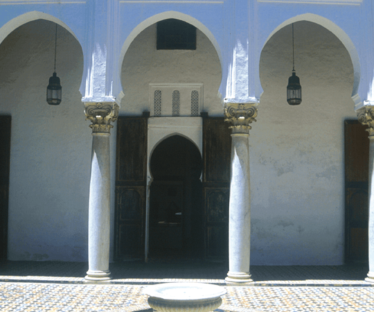 الاستمتاع بالحدائق الجميلة